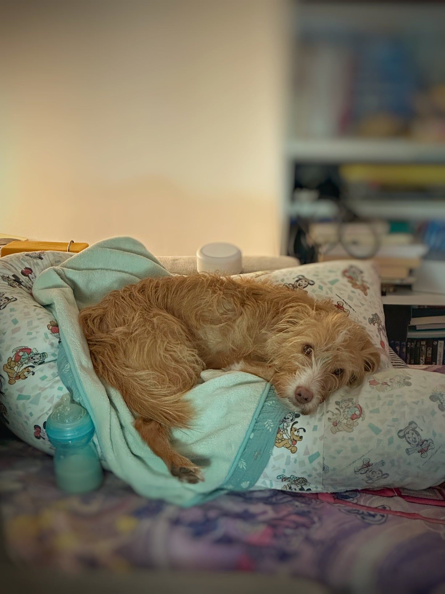 The Mommy Pillow