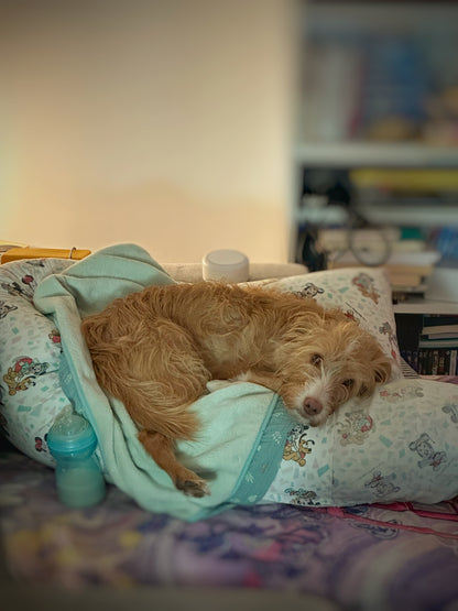 The Mommy Pillow