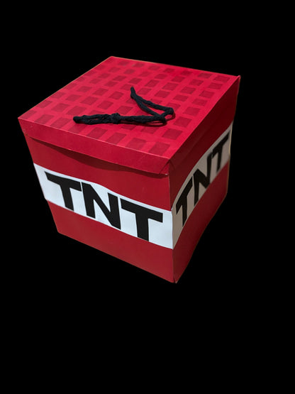 The Minecraft Party