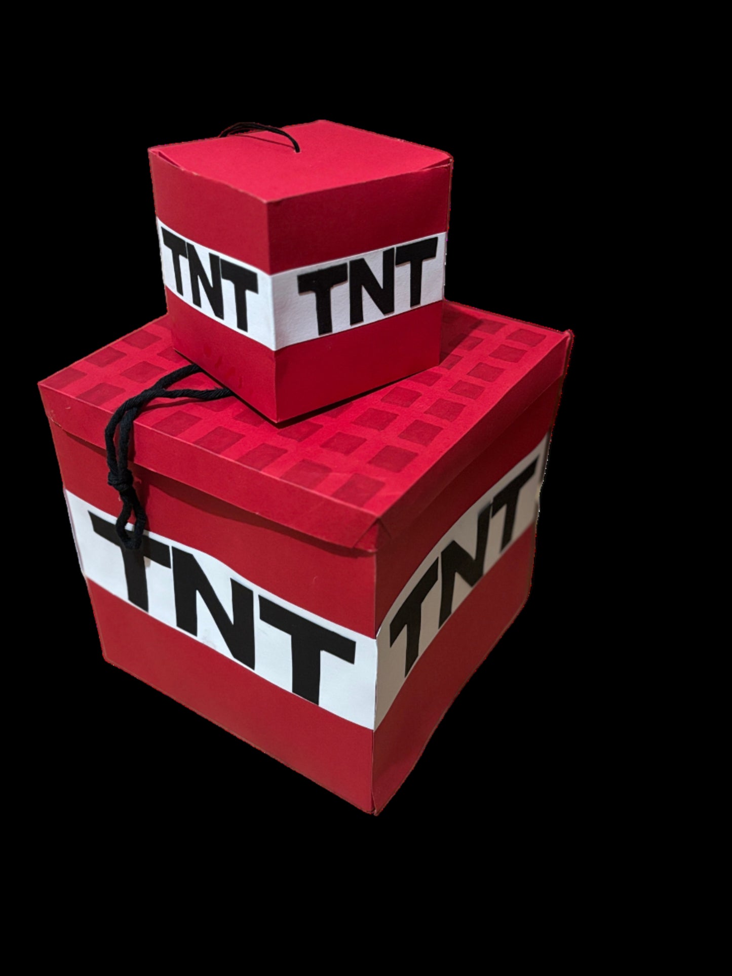 The Minecraft Party
