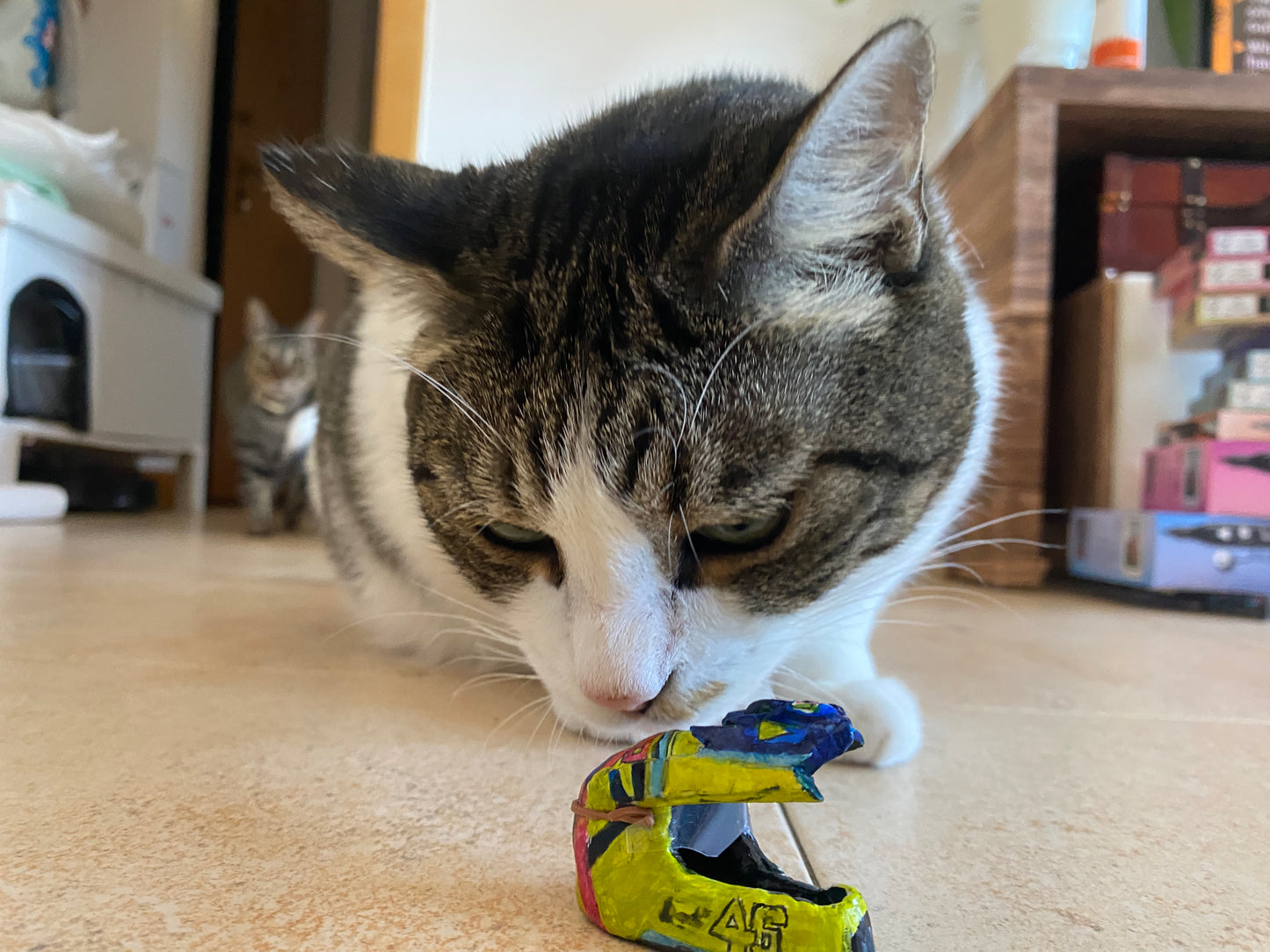 Mini Rossi Helmet