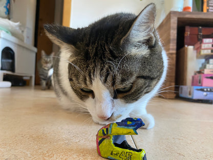 Mini Rossi Helmet